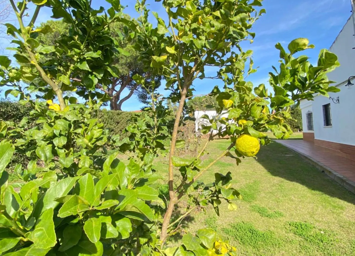 Villa Lua Cartaya 0*,  España